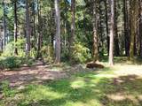 93204 Cemetery Loop Rd - Photo 14