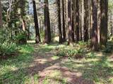 93204 Cemetery Loop Rd - Photo 17
