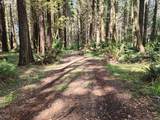 93204 Cemetery Loop Rd - Photo 18