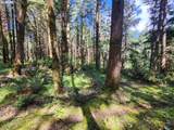 93204 Cemetery Loop Rd - Photo 19