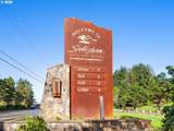 10 Big Tree Rd - Photo 45