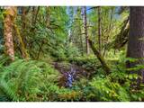 0000 Cedar Creek Rd - Photo 11