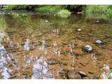 0000 Cedar Creek Rd - Photo 2