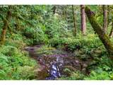 0000 Cedar Creek Rd - Photo 22