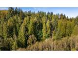 0000 Cedar Creek Rd - Photo 27
