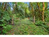 0000 Cedar Creek Rd - Photo 28