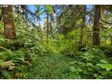 0000 Cedar Creek Rd - Photo 29