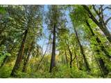 0000 Cedar Creek Rd - Photo 30