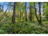 0000 Cedar Creek Rd - Photo 31