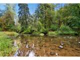 0000 Cedar Creek Rd - Photo 33