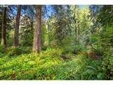 0000 Cedar Creek Rd - Photo 6