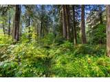 0000 Cedar Creek Rd - Photo 8