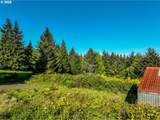 62361 Olive Barber Rd - Photo 12