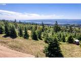 2519 China Garden Rd - Photo 14