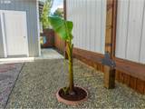 829 Jacobson Way - Photo 26