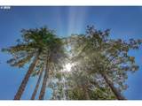 94531 Smokey Ln - Photo 40