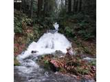 20002 Cedar Creek Rd - Photo 10