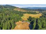 20002 Cedar Creek Rd - Photo 2