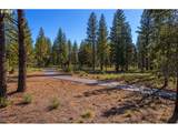 56385 Trailmere Cir - Photo 11