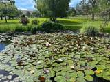 27847 Pine Creek Rd - Photo 38