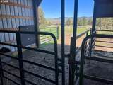 27847 Pine Creek Rd - Photo 45