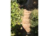 0 Forest St - Photo 11