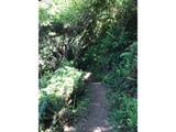 0 Forest St - Photo 13