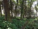 0 Forest St - Photo 14