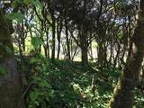 0 Forest St - Photo 15