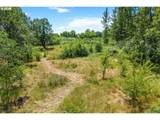 1810 Carter Rd - Photo 10