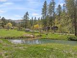 34336 Stices Gulch Rd - Photo 3