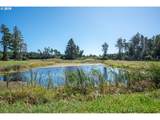  Beach Loop Dr - Photo 23