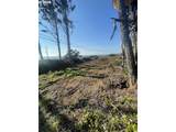  Tl400 Hwy 101 - Photo 12