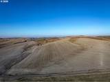 92917 Bofer Canyon Rd - Photo 14