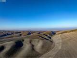 92917 Bofer Canyon Rd - Photo 17