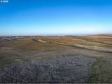 92917 Bofer Canyon Rd - Photo 36