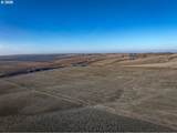 92917 Bofer Canyon Rd - Photo 4