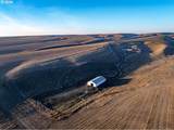 92917 Bofer Canyon Rd - Photo 42