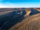 92917 Bofer Canyon Rd - Photo 43