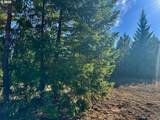 Black Butte - Lot 16 - Photo 13