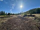  Black Butte - Lot 16 - Photo 19