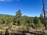  Black Butte - Lot 16 - Photo 21
