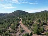  Black Butte - Lot 16 - Photo 31