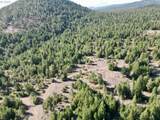 Black Butte - Lot 16 - Photo 38