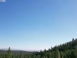  Black Butte - Lot 16 - Photo 41