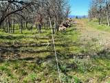  Eagle Dr - Photo 17
