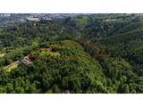 202 Pineridge Dr - Photo 1