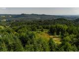 202 Pineridge Dr - Photo 4