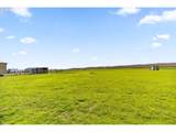 29334 Meadowview Rd - Photo 34