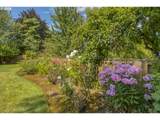 4435 14TH St - Photo 28